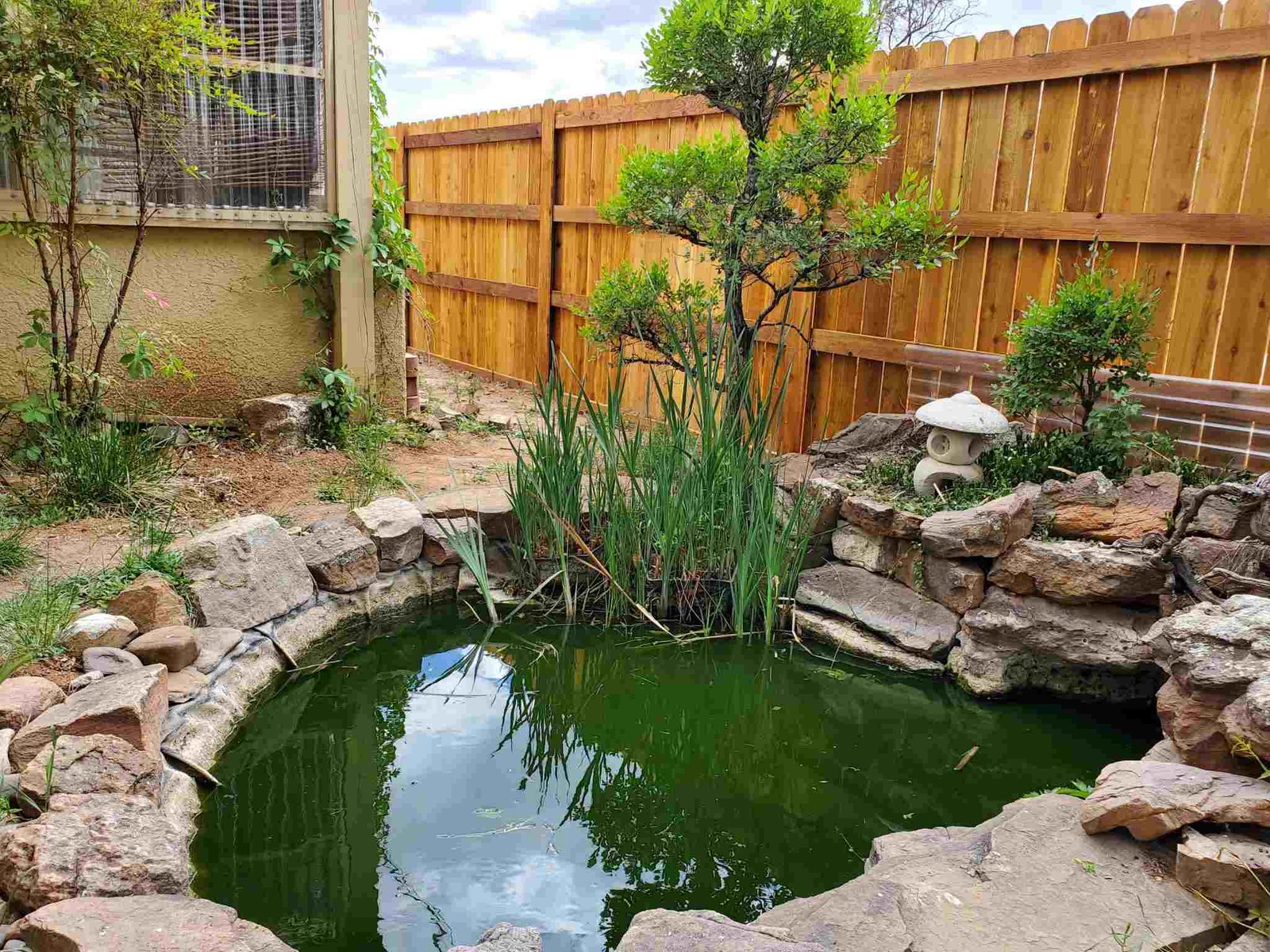 Serene backyard pond surrounded by rocks and greenery